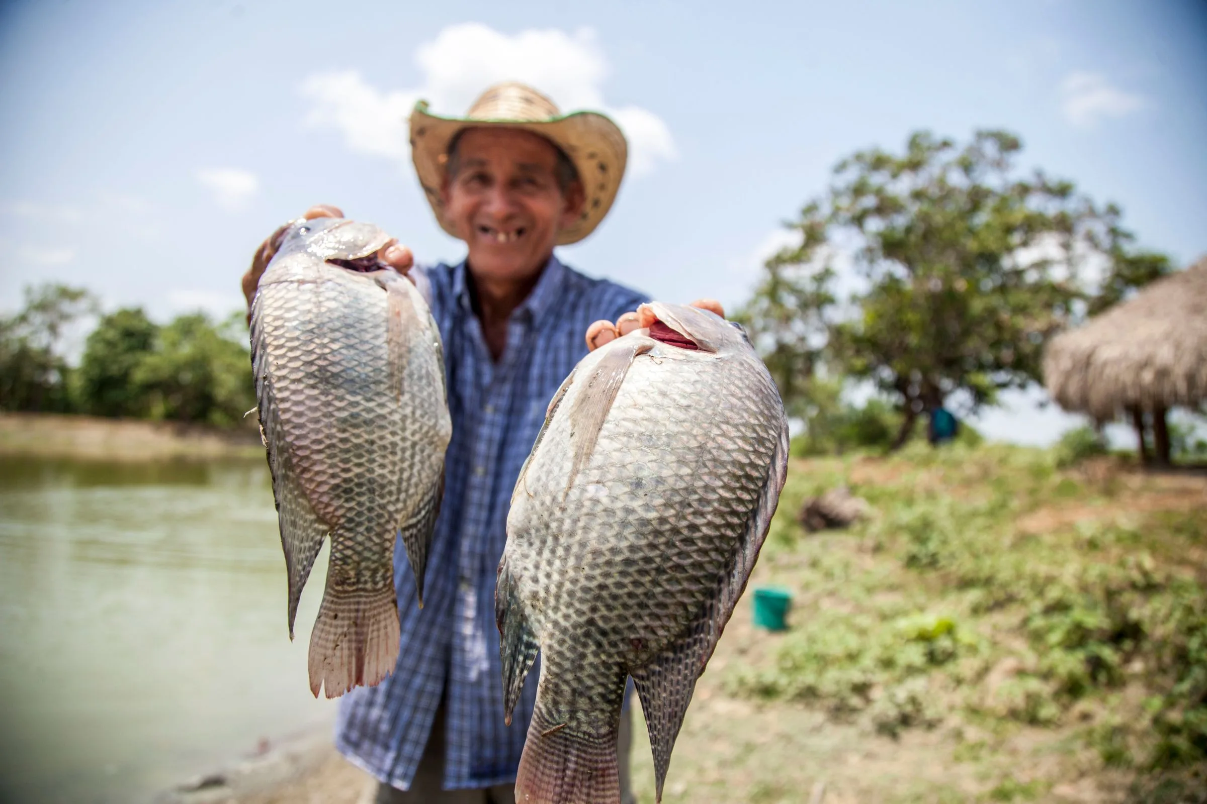 Petani tersenyum memegang dua ikan nila hasil panen